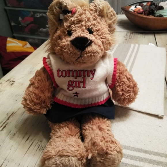 tommy the teddy bear